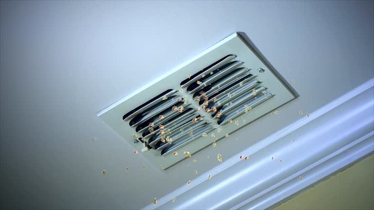 Best Best Air Duct Cleaning Company  in Emmett, ID